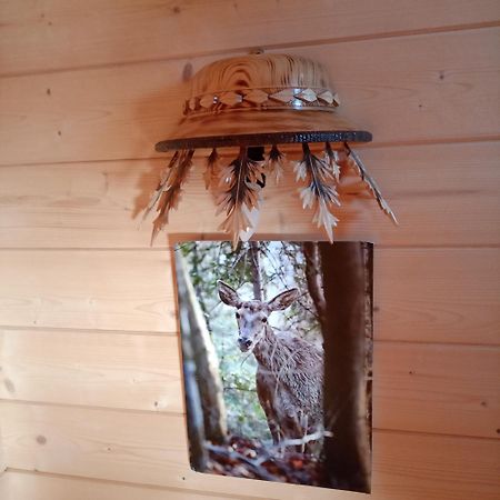 Domek Na Farmie Szaflary Kültér fotó